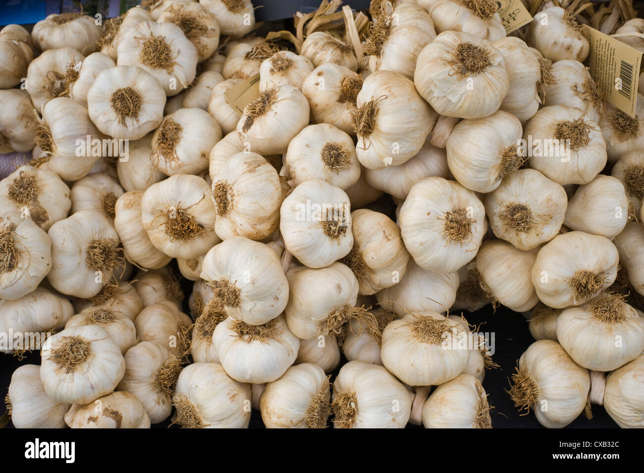 Garlic bulbs from The Garlic Farm Isle of Wight for sale on stall at