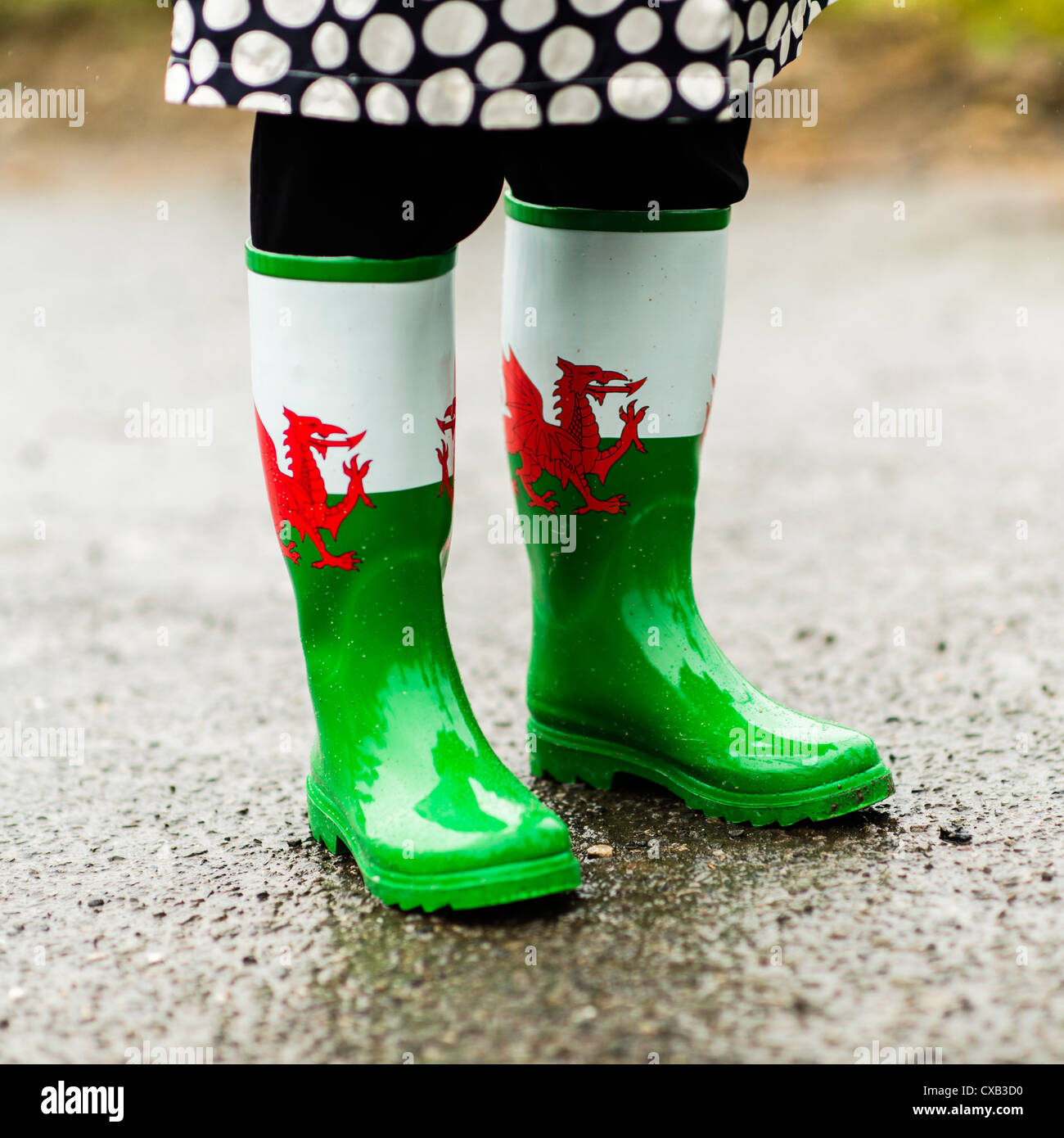 dragon wellies