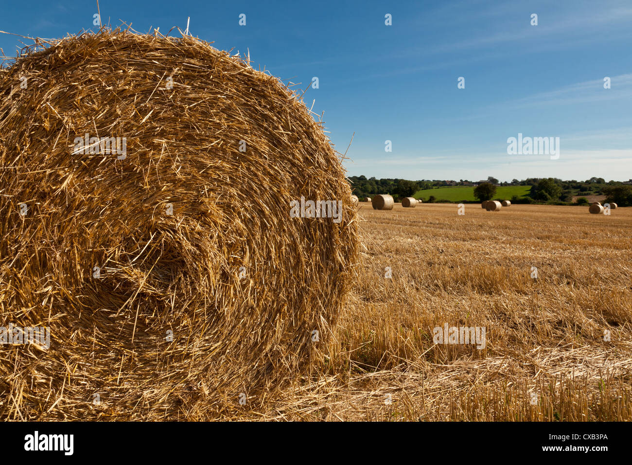 English Bales Hi Res Stock Photography And Images Alamy