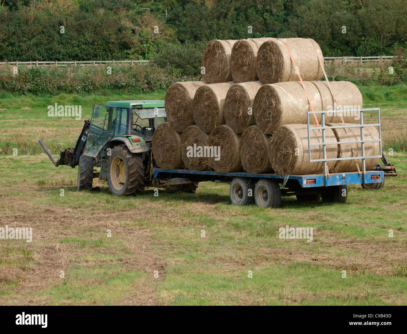 Tractor and trailer loaded with large round bales, Cornwall, UK Stock