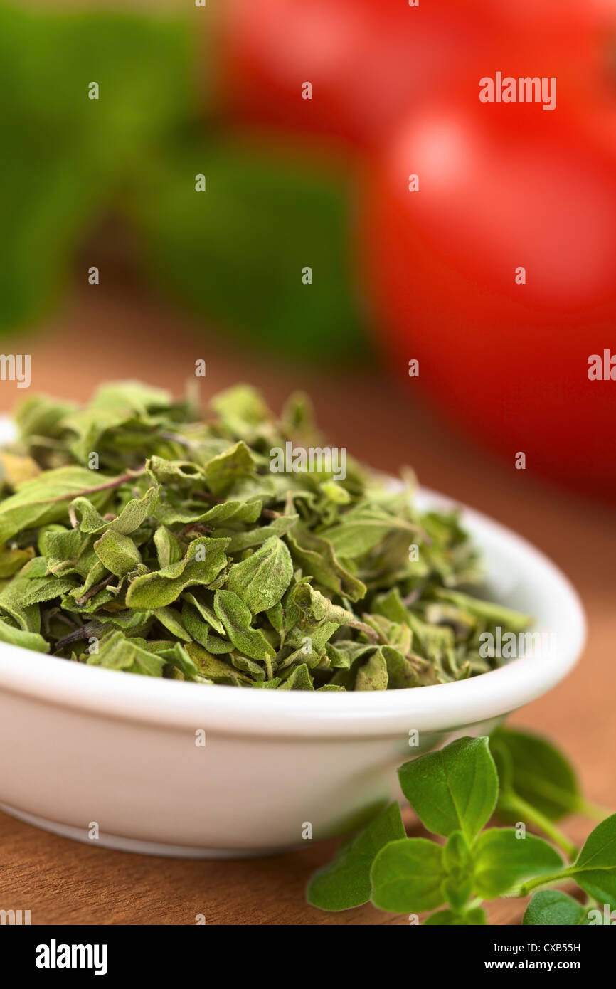 Oregano Leaves In Urdu