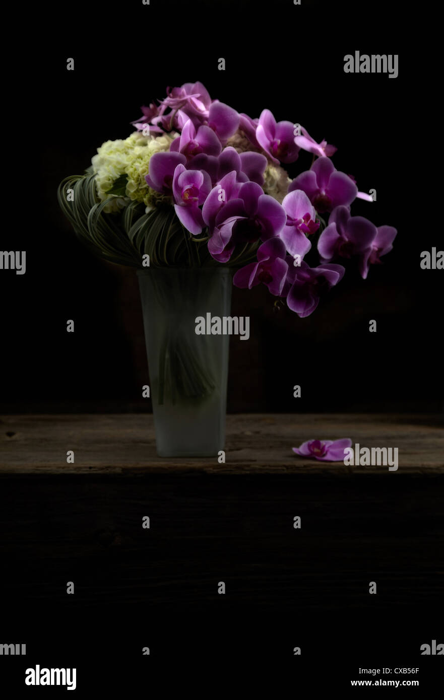 Purple Orchid Bouquet Stock Photo