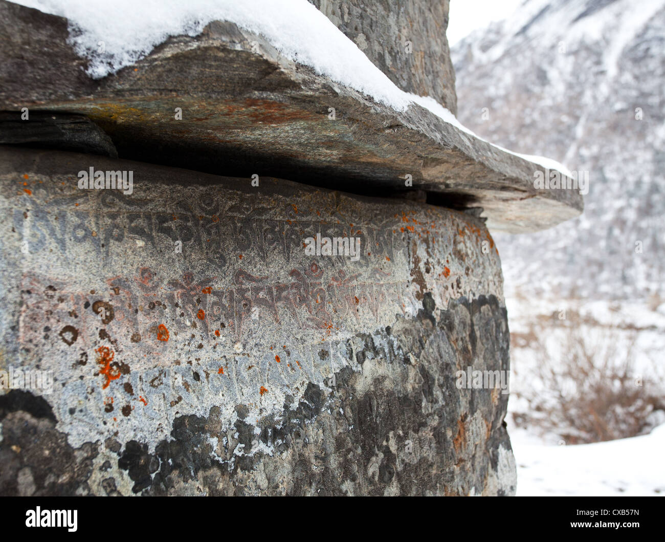 Old Mani Stones inscribed with a Buddhist mantra and covered with snow, Langtang Valley, Nepal Stock Photo