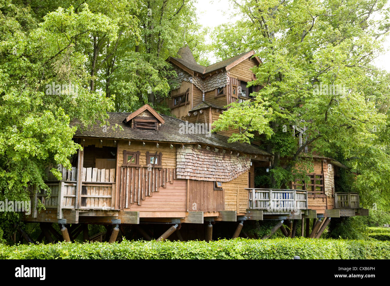 The tree house at Alnwick Gardens in Northumberland, England Stock