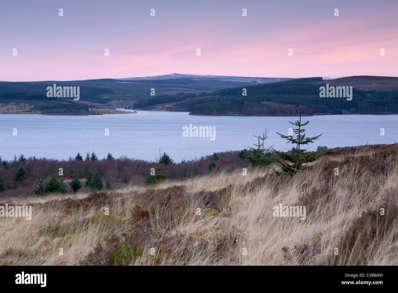 Kielder Water is a man made reservoir and Kielder Forest a series of commercial plantations in Northumberland, England Stock Photo