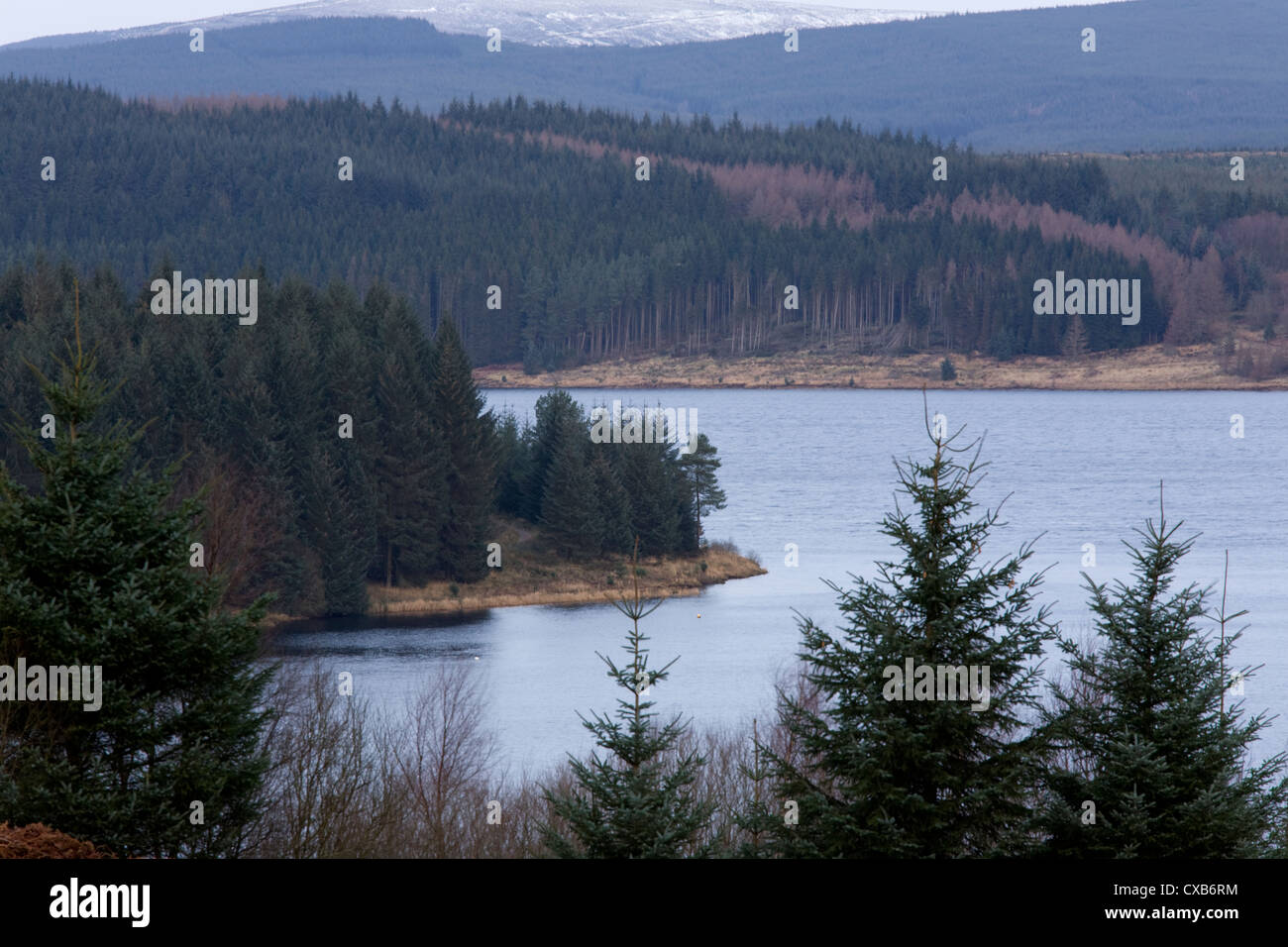 Kielder Water is a man made reservoir and Kielder Forest a series of commercial plantations in Northumberland, England Stock Photo