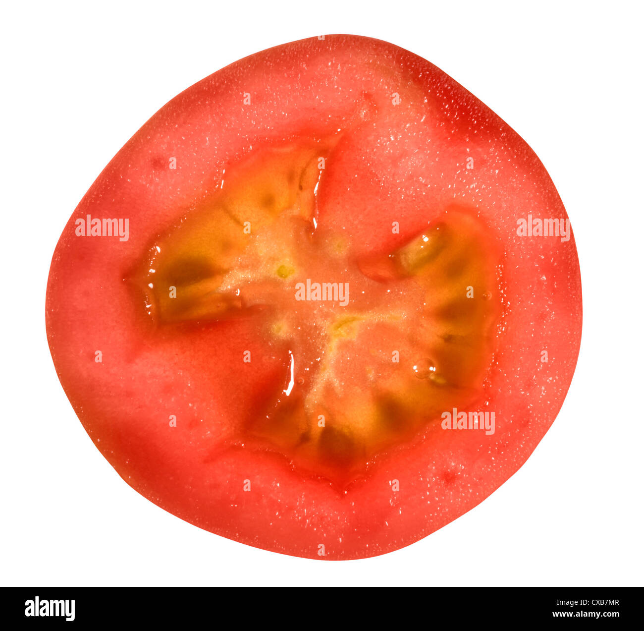 Transverse section plant hires stock photography and images Alamy