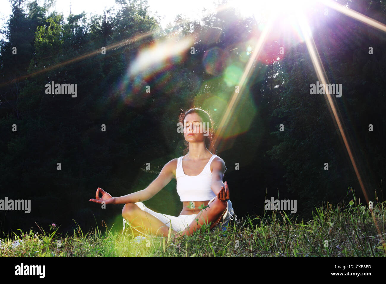 yoga woman on green grass lotus pose in sunrise light Stock Photo Alamy
