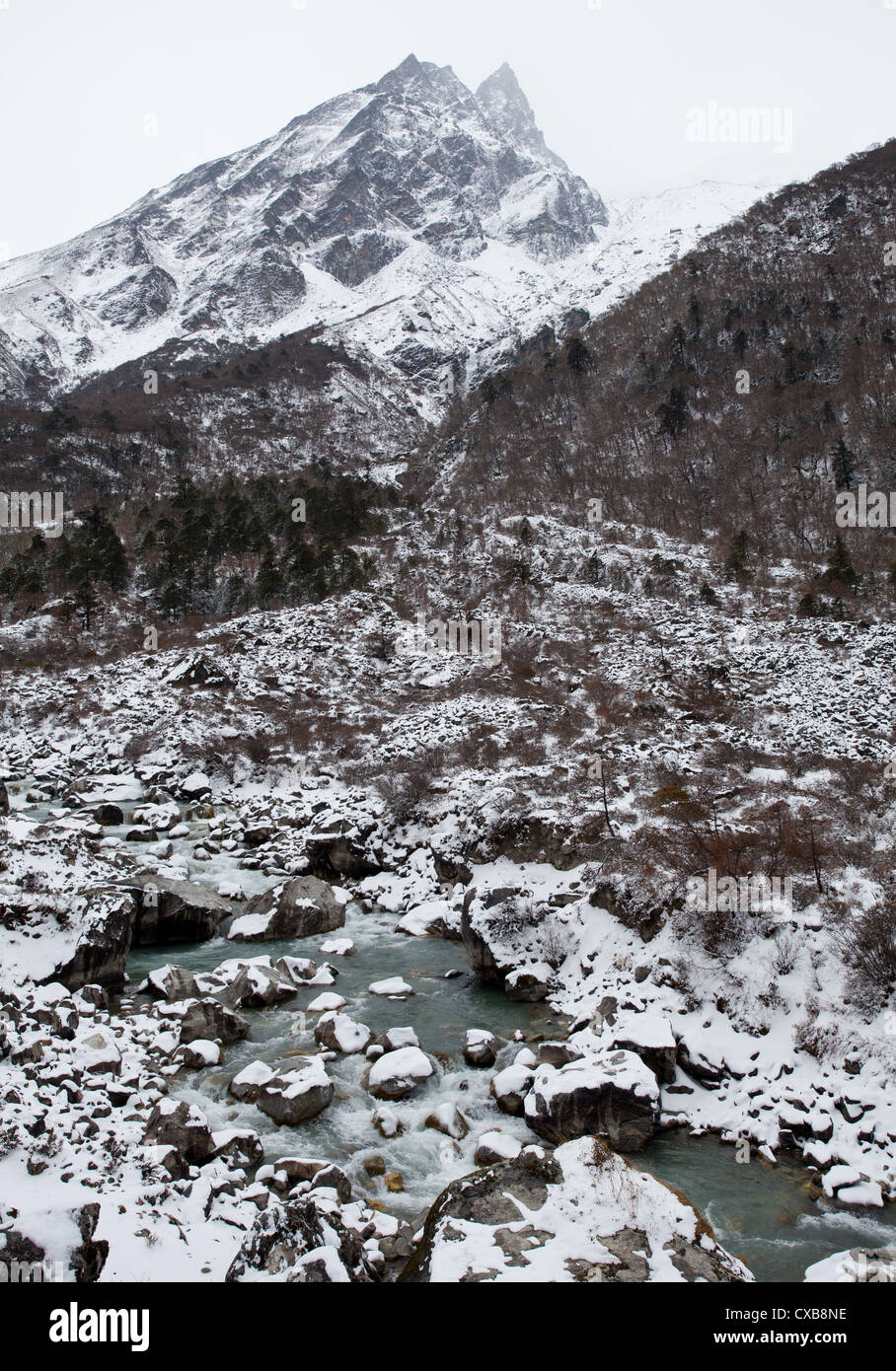 Beautiful mountain river flowing through the Langtang Valley, Nepal Stock Photo