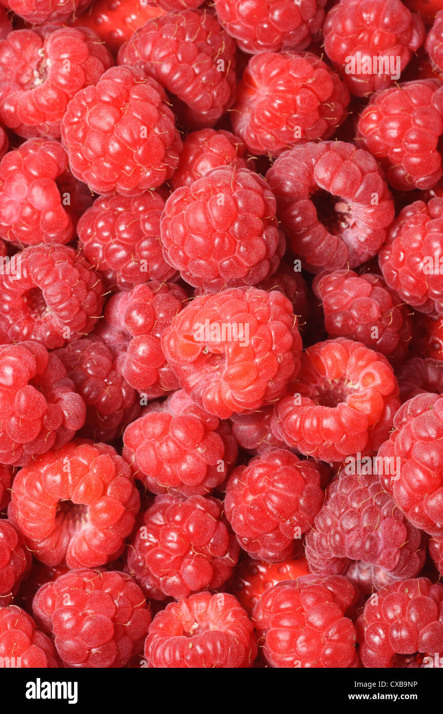 Big amount of raspberries Stock Photo - Alamy