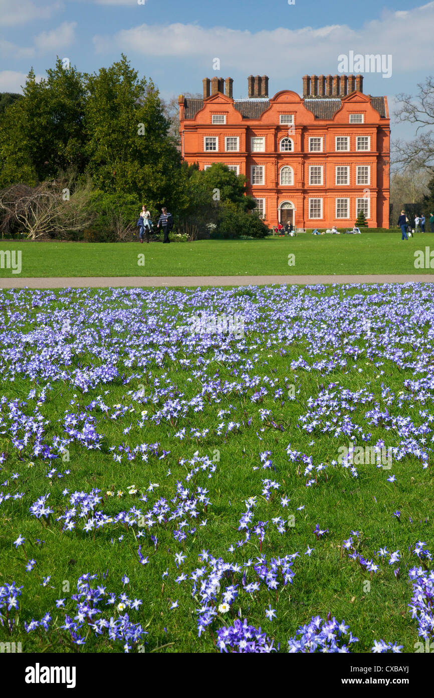 Glory of the Snow flowers in lawns near Kew Palace in spring, Royal Botanic Gardens, Kew, UNESCO World Heritage Site, London Stock Photo