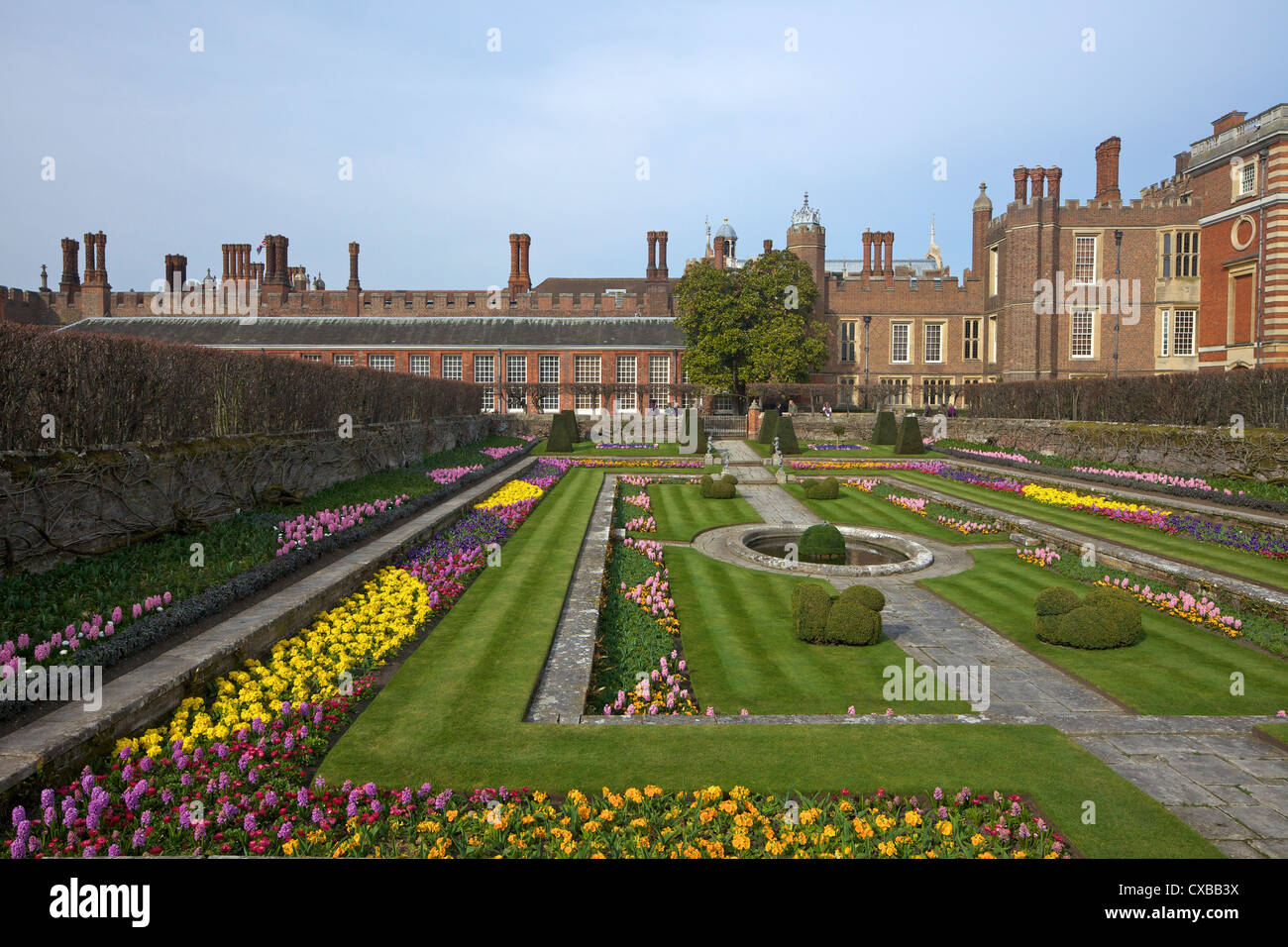 Formal gardens, Hampton Court Palace, Greater London, England, United Kingdom, Europe Stock Photo