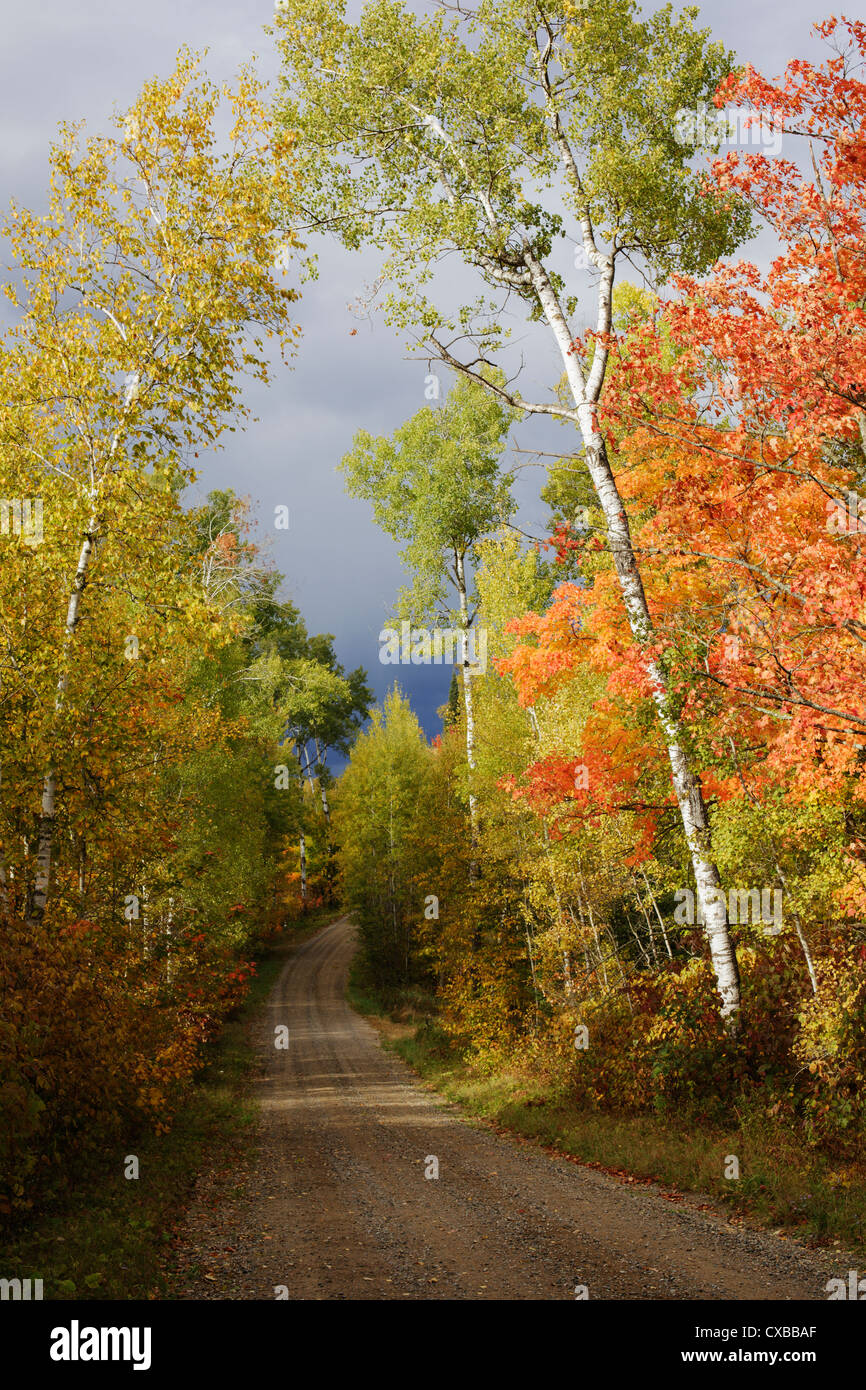 A rural road through a forest in fall. Stock Photo