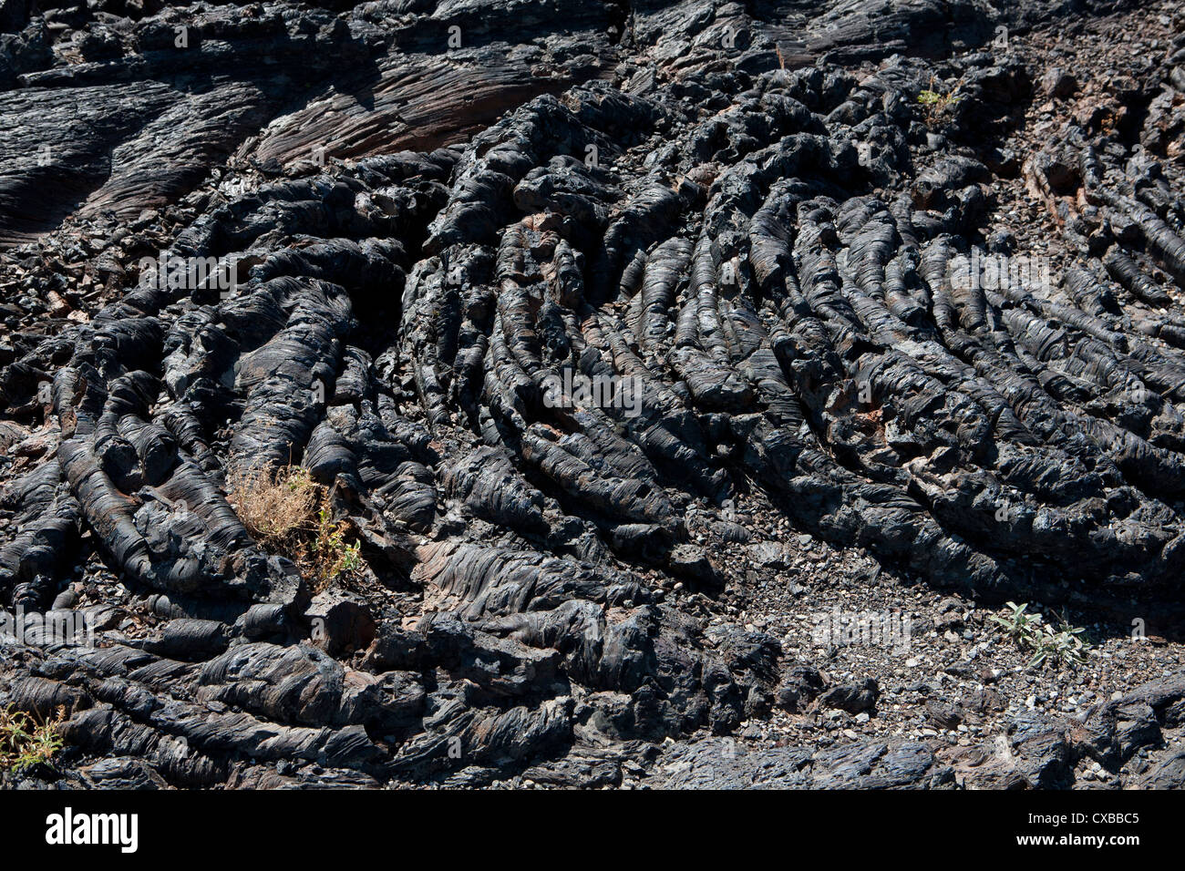 Ropy pattern in top of pahoehoe lava, Craters of the Moon National Monument, ID. Stock Photo