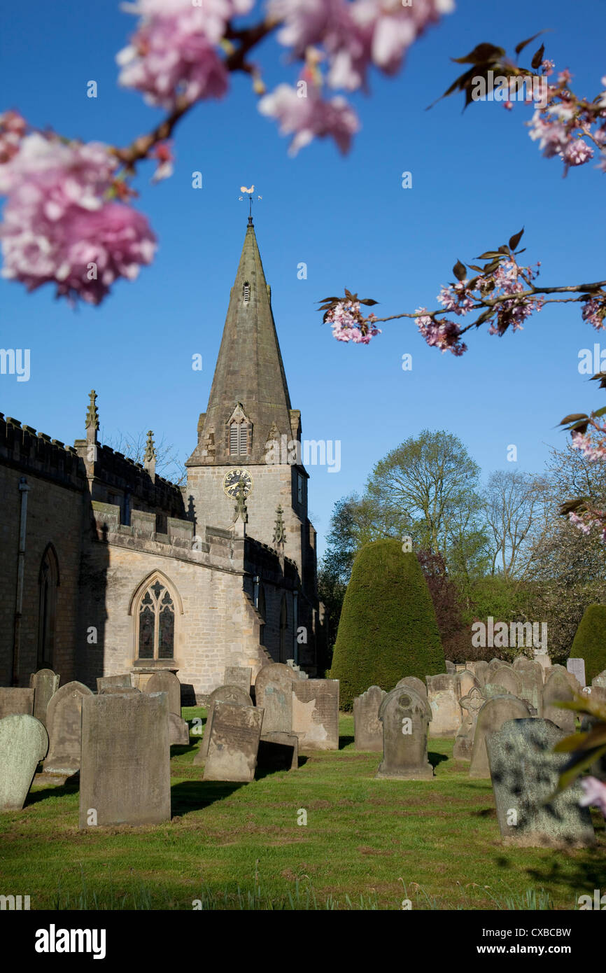 Baslow Parish Church and spring cherry blossom, Derbyshire, England, United Kingdom, Europe Stock Photo