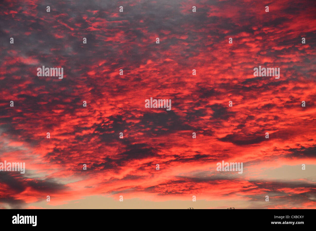 Red clouds in the evening, England, UK Stock Photo Alamy