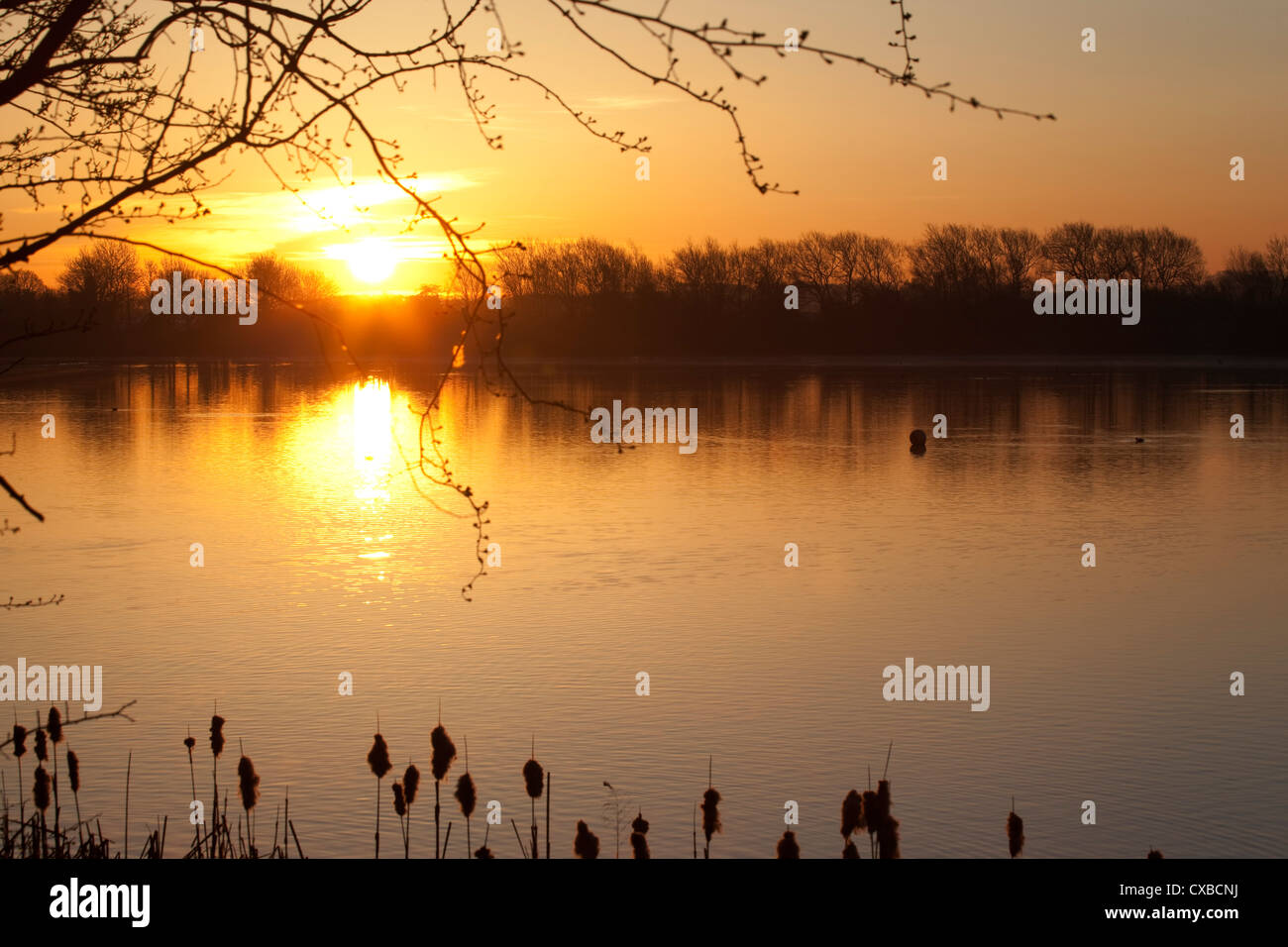 Kingsmill reservoir hires stock photography and images Alamy