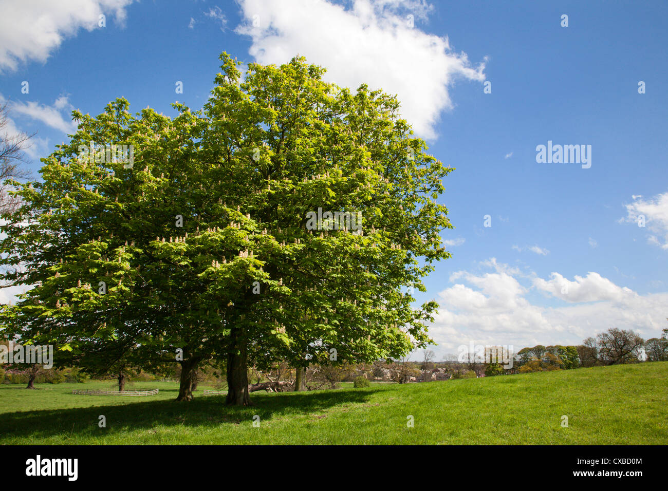 Jacob smith hi-res stock photography and images - Alamy