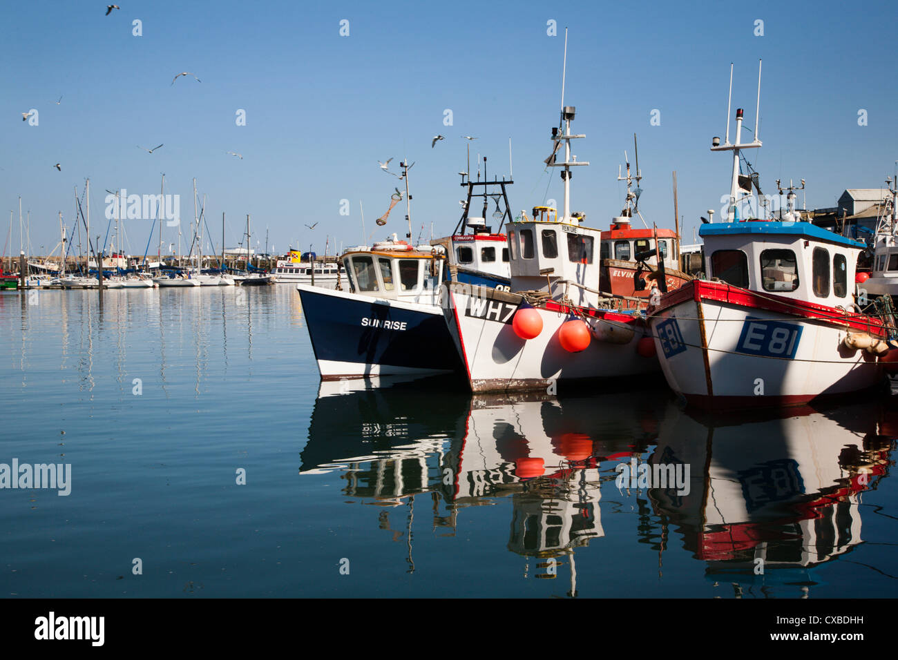Fishing Boats in the Harbour, Scarborough, North Yorkshire, Yorkshire