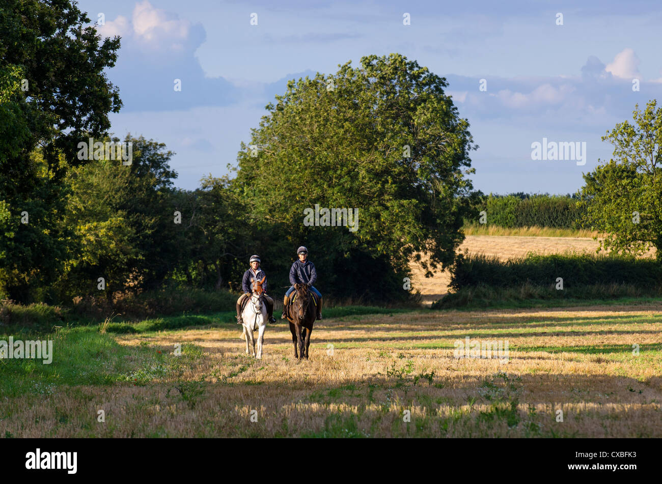 Two horse riders on stubble field in evening light, Norfolk, England Stock Photo