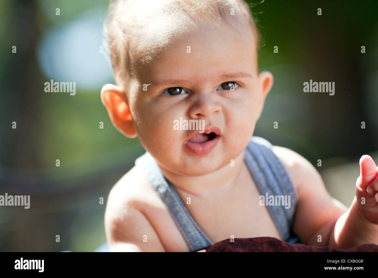 Adorable 5 months old baby boy Stock Photo Alamy