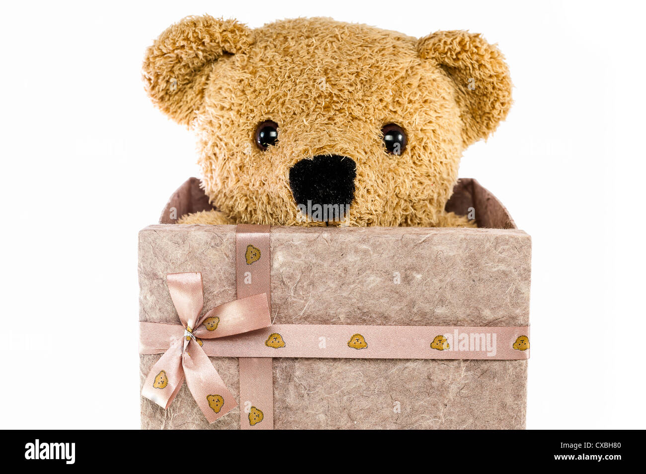 bears doll on white background isolated with gift box Stock Photo - Alamy