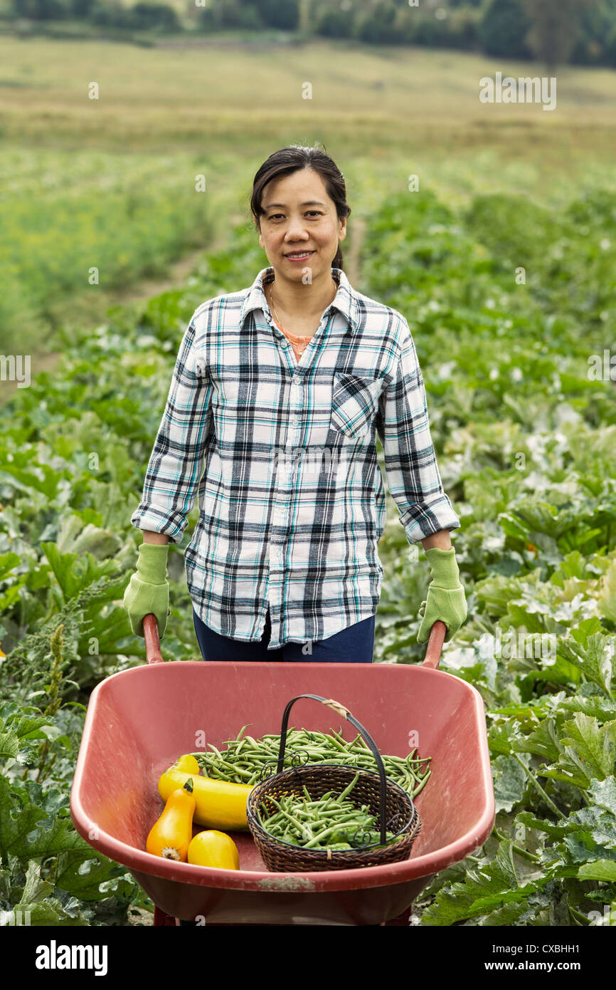 Mature women holding wheelbarrow full of fresh vegetables with field ...