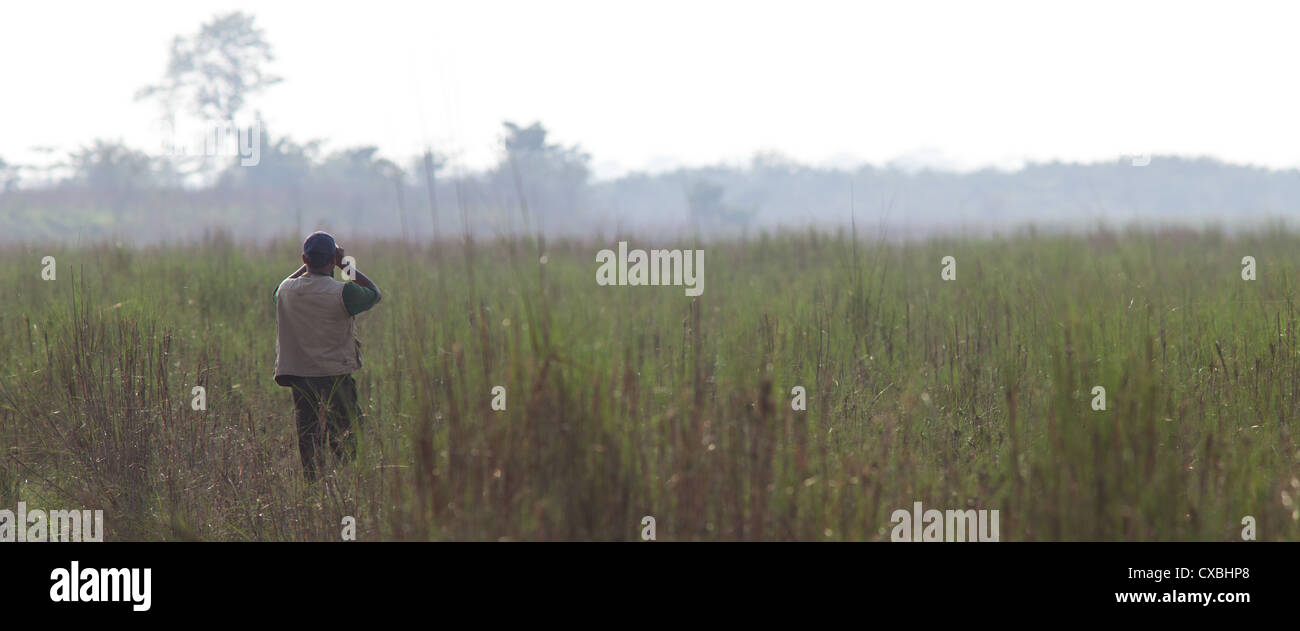 Wildlife guide looking for birds through his binoculars, Chitwan National Park, Nepal Stock Photo