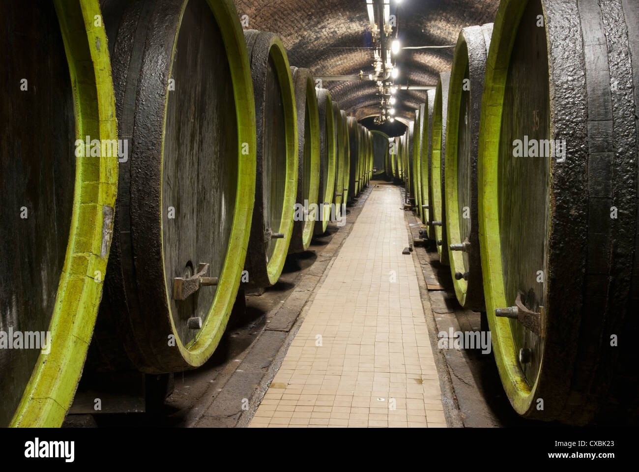 Wooden wine barrels, Rosa Coeli wine cellar, Dolni Kounice, Brnensko, Czech Republic, Europe Stock Photo