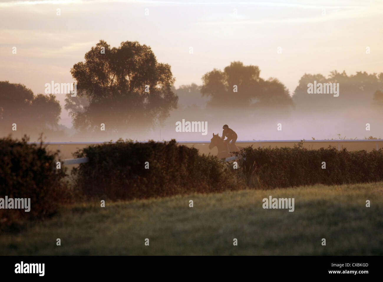 Iffezheim, rider and horse during a ride in the morning Stock Photo