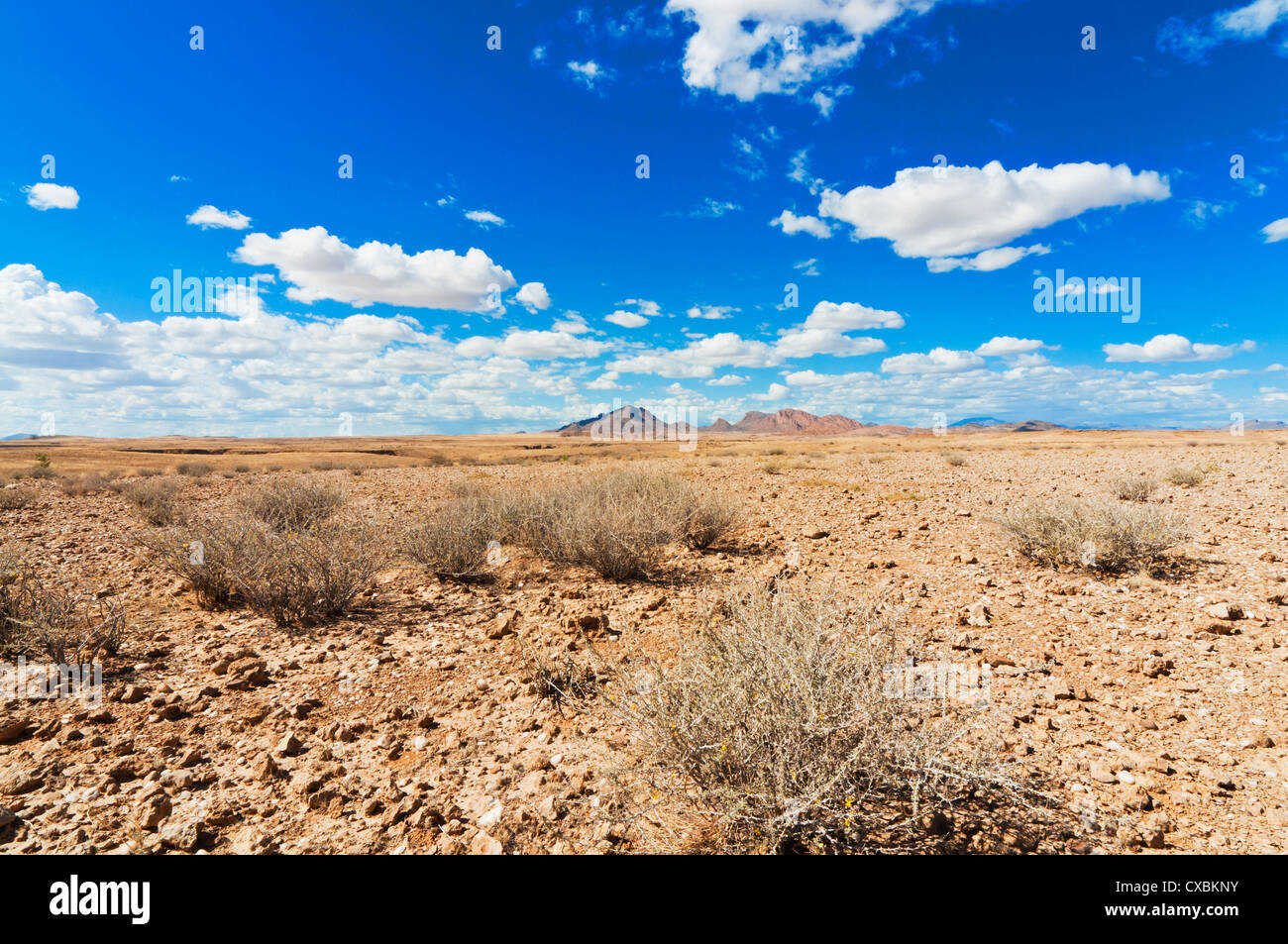 Namib desert, Namibia, Africa Stock Photo