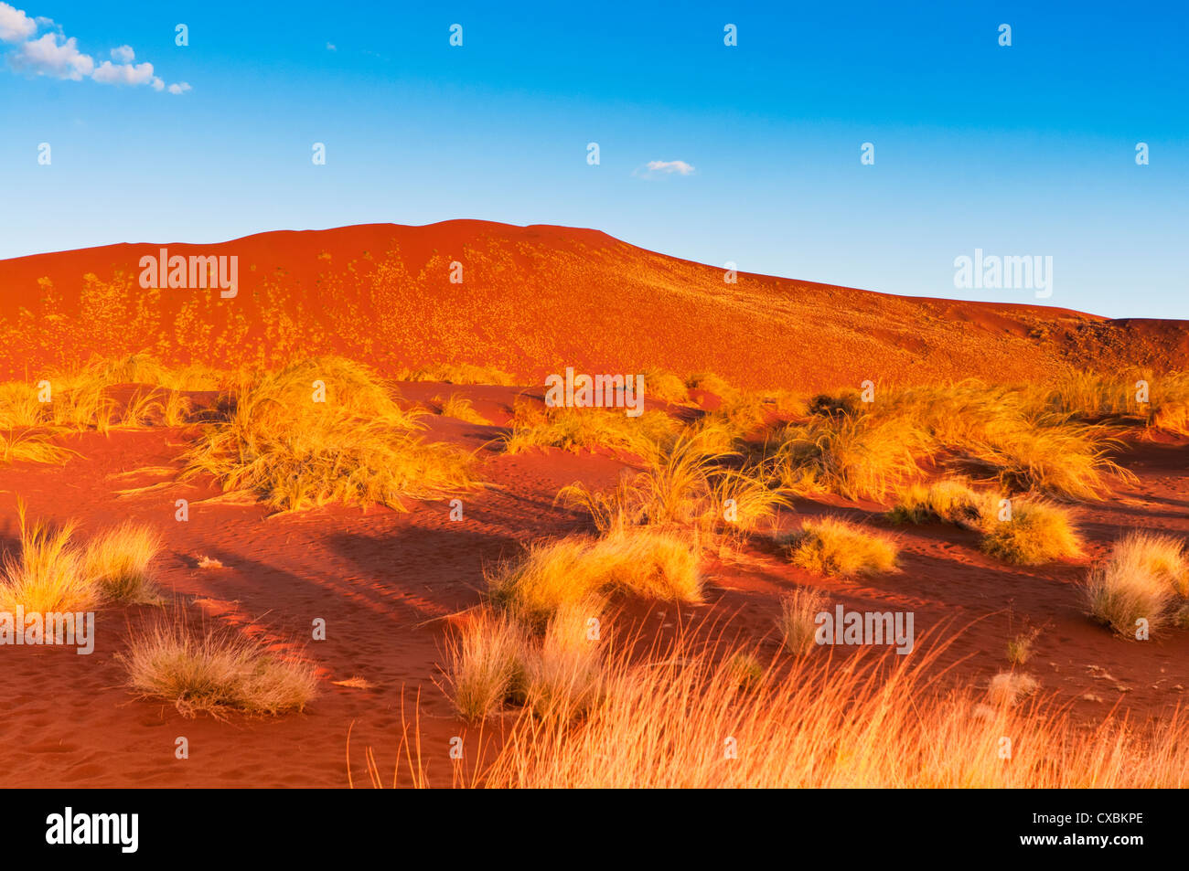 Sossusvlei, Namib Desert, Namib Naukluft Park, Namibia, Africa Stock Photo