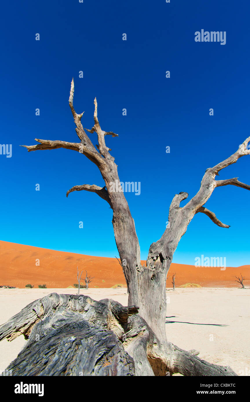 Sossusvlei, Namib Desert, Namib Naukluft Park, Namibia, Africa Stock Photo