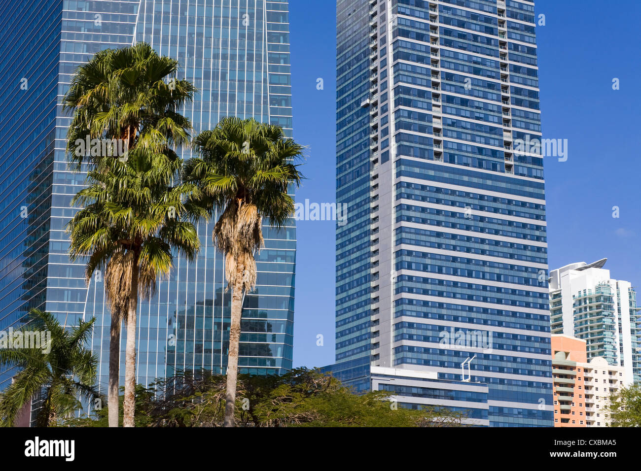 HSBC Tower on the right and Chase Tower on Brickell Avenue, Miami, Florida, United States of America, North America Stock Photo