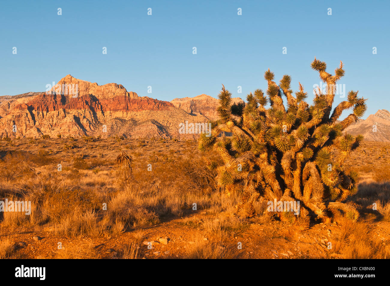 Red rock canyon las vegas hi-res stock photography and images - Alamy
