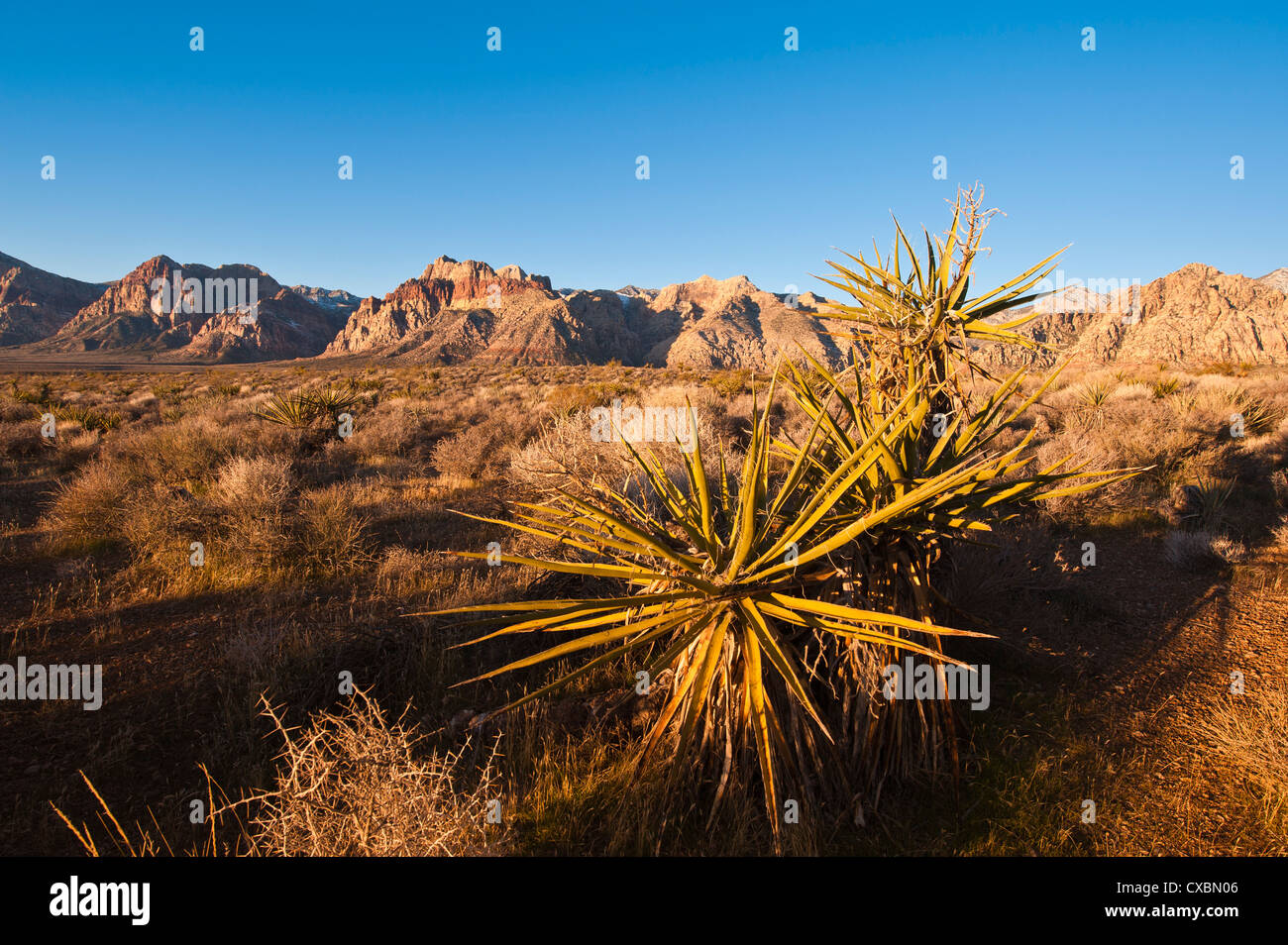 Red Rock Canyon outside Las Vegas, Nevada, United States of America, North America Stock Photo