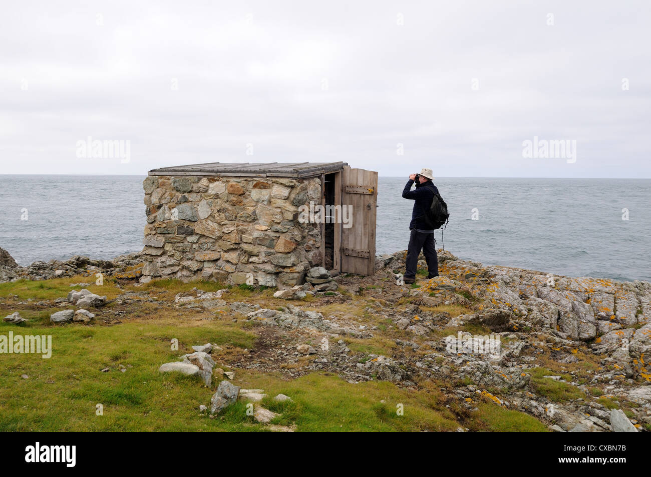 Man looking through binoculars outside a stone bird hide Bardsey Island Llyn Peninsula Gwynedd Wales Cmru UK GB Stock Photo