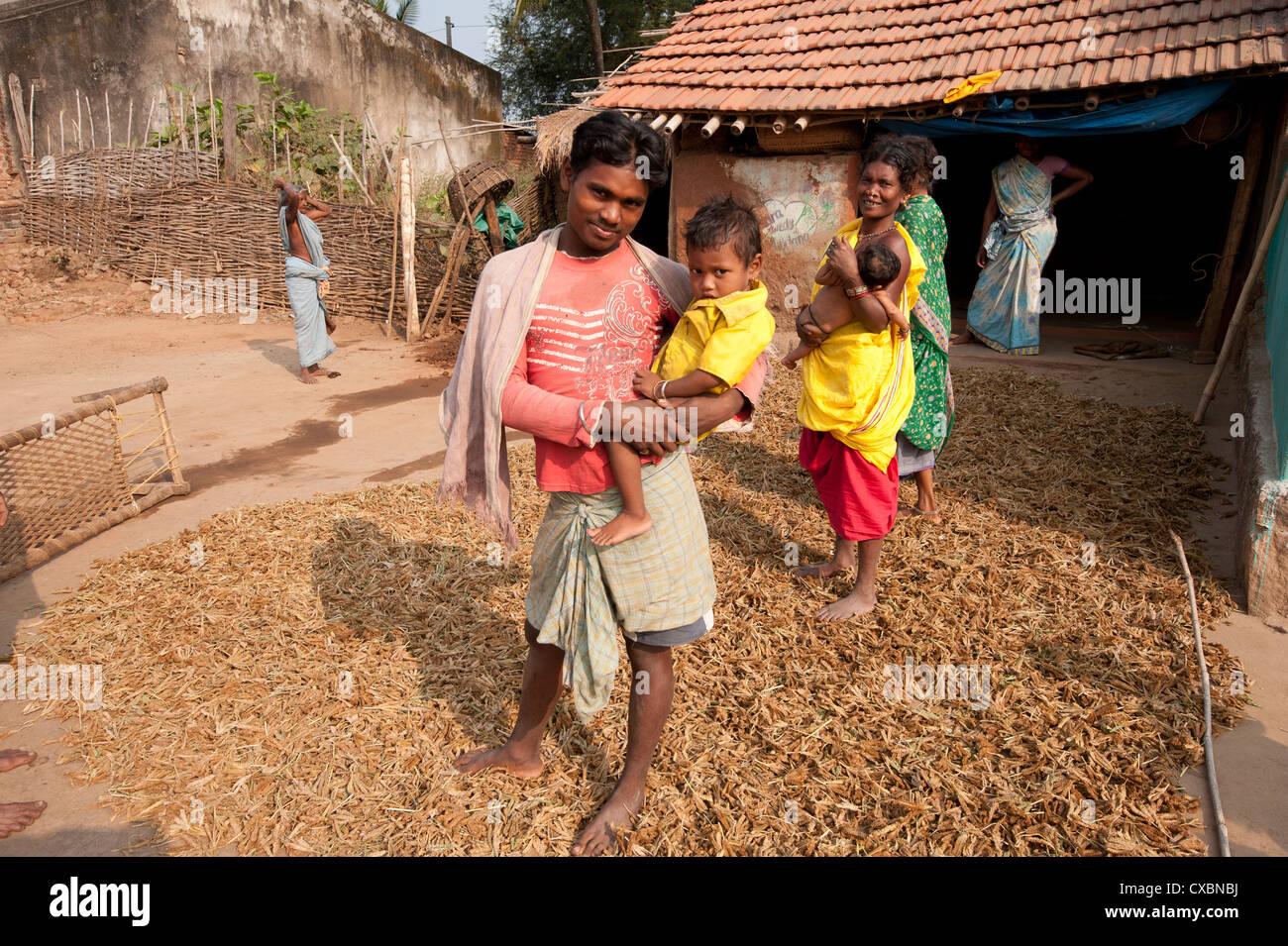 Young father of Desia Kondh tribe holding his son outside his house, standing on crop of drying millet, Bissam Cuttack, Orissa Stock Photo