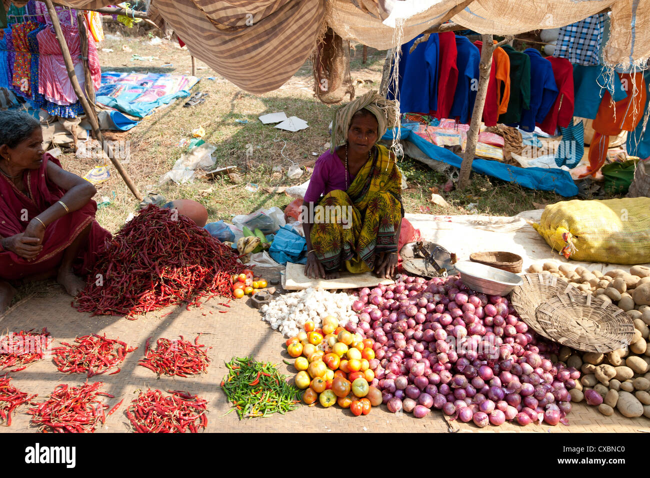 Desia Kondh tribal market vegetable stall, woman selling chillies, tomatoes, onions and potatoes, near Rayagada, Orissa, India Stock Photo