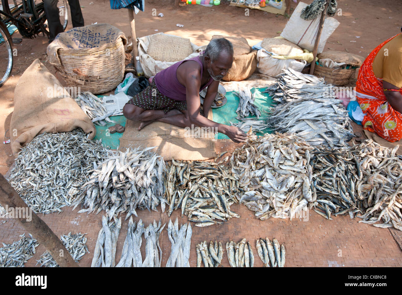 Desia Kondh tribal market stall, man selling sun dried river fish, near Rayagada, Orissa, India, Asia Stock Photo