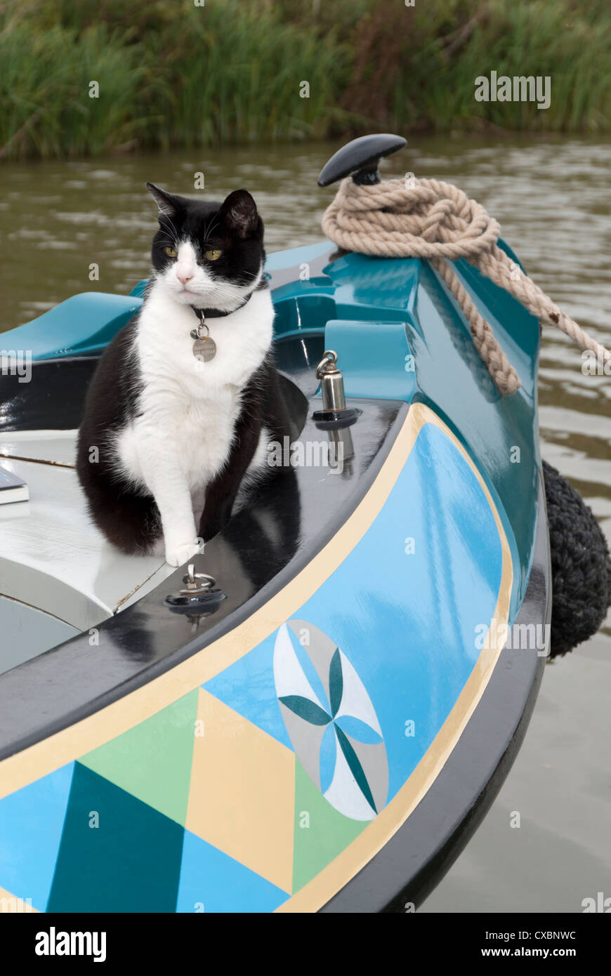Black and white pet cat sitting on bow of traditional narrowboat, England, Great Britain, United Kingdom, Europe Stock Photo