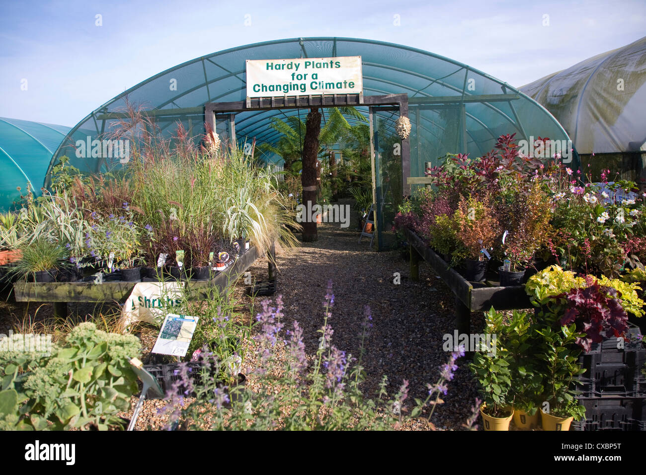 The Exotic Garden Company Hardy Plants for a Changing Climate nursery