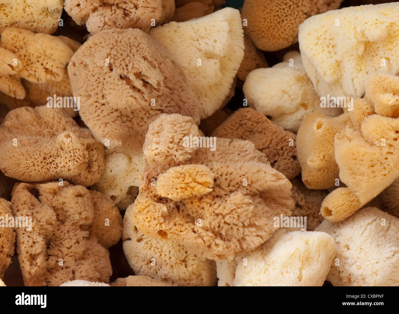 sea sponges, kamari, santorini, greece Stock Photo