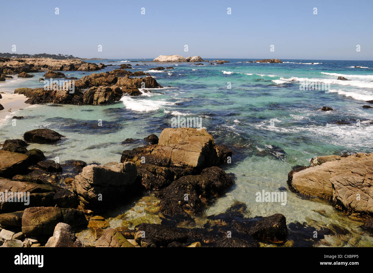 PACIFIC GROVE SHORELINE,MONTEREY,CALIFORNIA,USA Stock Photo