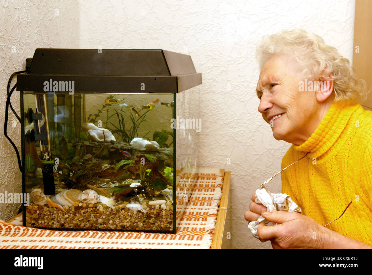 Nauen, an old woman looks into an aquarium Stock Photo