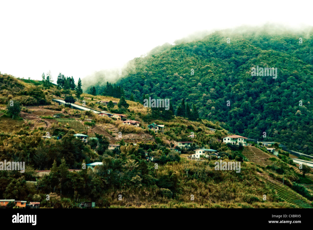 hilltop with village and farming land in Vietnam Stock Photo Alamy