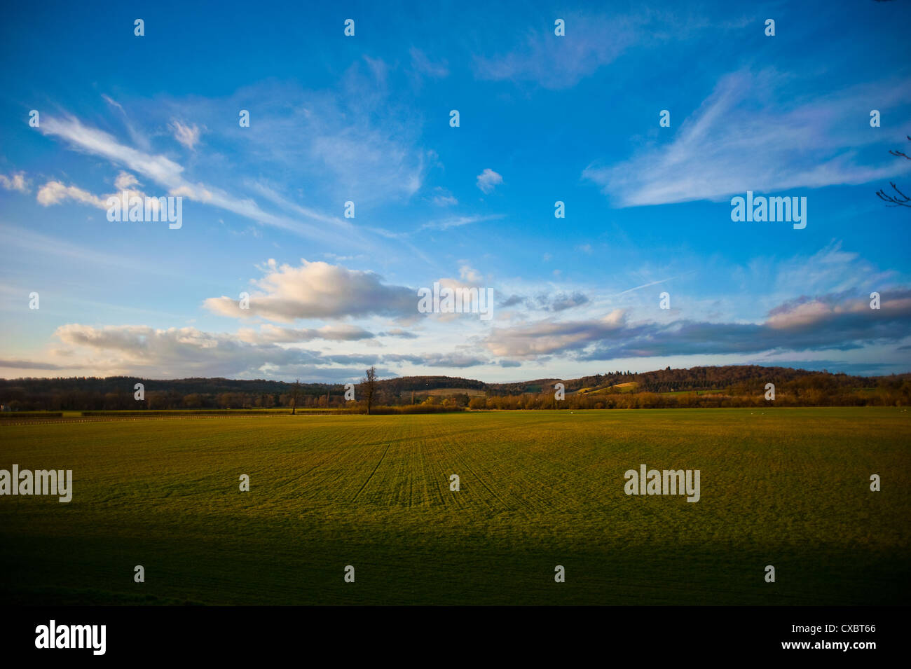 Field in British countryside Stock Photo - Alamy