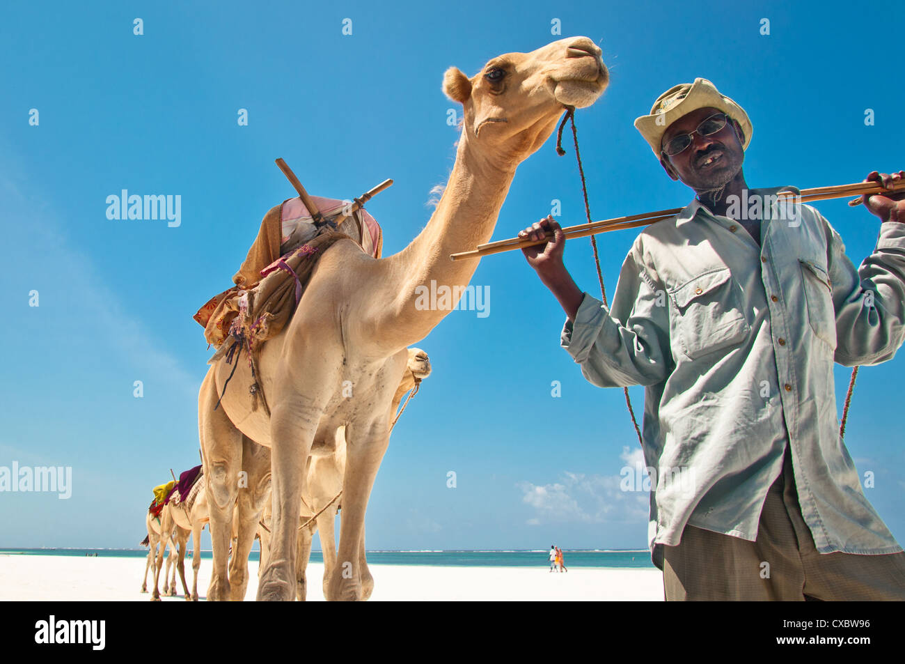 Camel dealer at Beach in Kenya Stock Photo