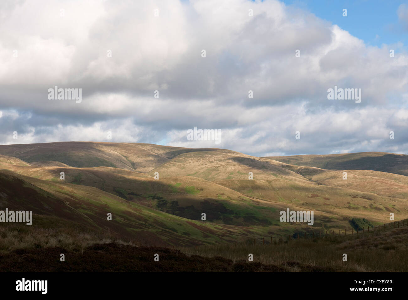 Sunlit Hills near Moffat, Dumfries & Galloway, Scottish Borders Stock Photo