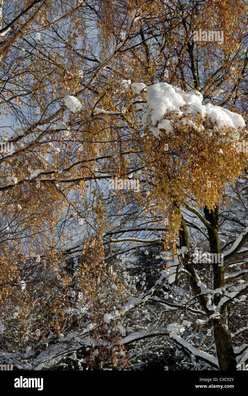 Views of deap snowfall on the south Pennines. Stock Photo